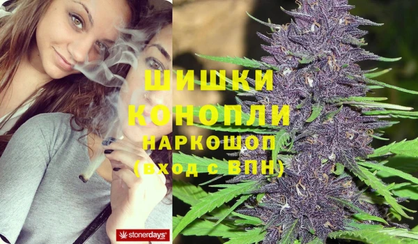 гидра Гусь-Хрустальный