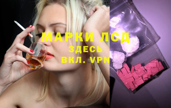 дживик Абинск